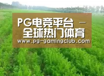 种植基地四