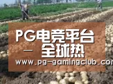 种植基地七(图1)