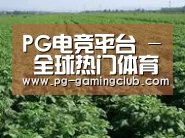 种植基地五