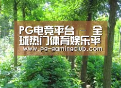 种植基地九