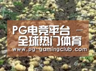 种植基地七