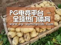 产品展示标题3