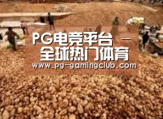 种植基地二