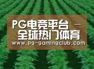 种植基地六(图1)