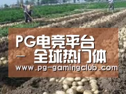 种植基地八