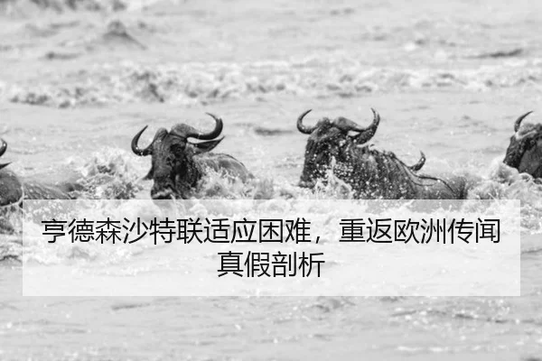 亨德森沙特联适应困难，重返欧洲传闻真假剖析